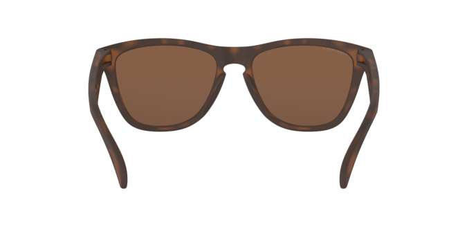 Oakley Frogskins - Prizm Tungsten, XL
