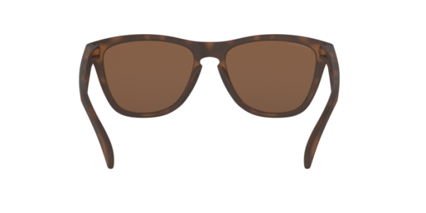 Oakley Frogskins - Prizm Tungsten, XL